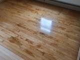 20230303_114814_snr_floors